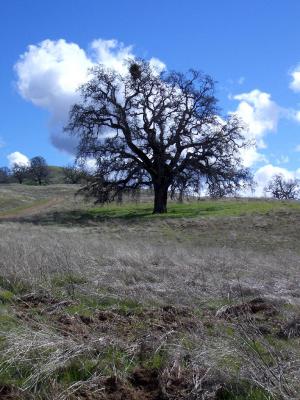 Grant County Park