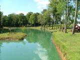 catfish pond