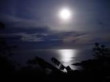 Golfo Dulce Moonrise