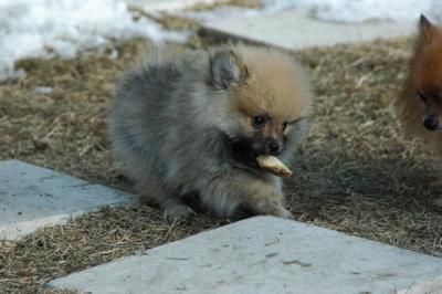 Feb1_05_078.JPG