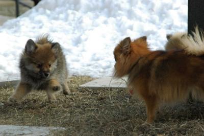 Feb1_05_098.JPG