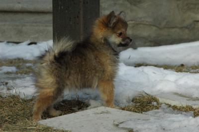 Feb1_05_104.JPG