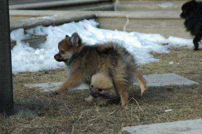Feb1_05_106.JPG
