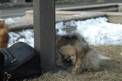 Feb1_05_107.JPG