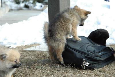 Feb1_05_112.JPG