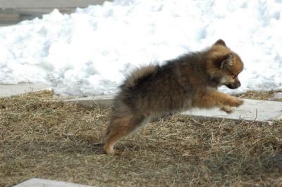 Feb1_05_114.JPG