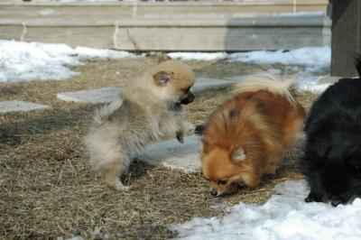 Feb1_05_115.JPG