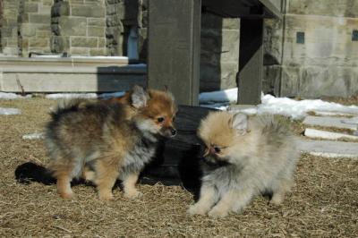 Feb1_05_120.JPG