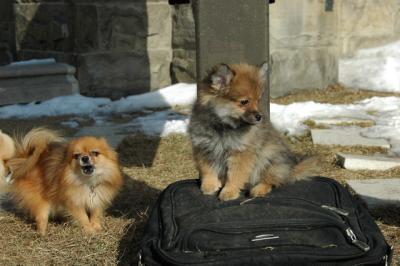 Feb1_05_123.JPG