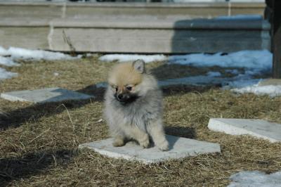 Feb1_05_126.JPG