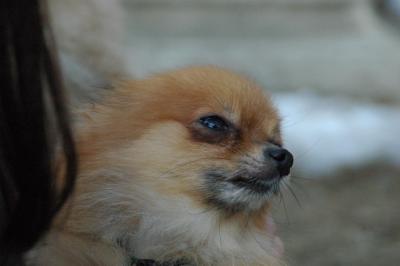 Feb1_05_154.JPG