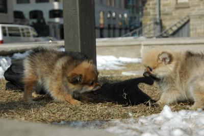 Feb1_05_187.JPG