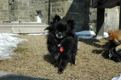Feb1_05_221.JPG
