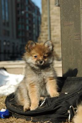 Feb1_05_228.JPG