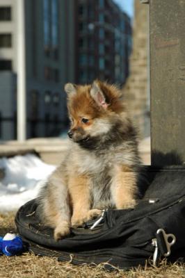 Feb1_05_230.JPG