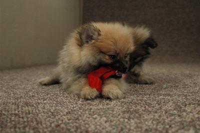 Jan29b_05_287.JPG