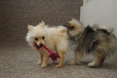 Feb21b_05_056.jpg