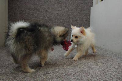Feb21b_05_061.JPG