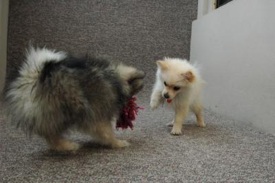 Feb21b_05_062.JPG