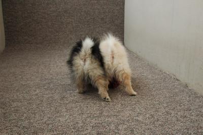 Feb21b_05_071.JPG