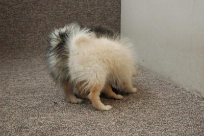 Feb21b_05_073.JPG
