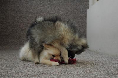 Feb21b_05_075.JPG