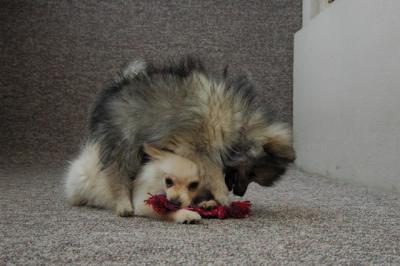 Feb21b_05_076.JPG
