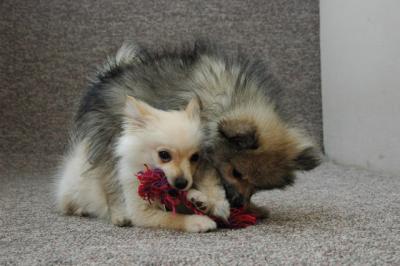 Feb21b_05_078.JPG