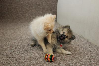 Feb21b_05_090.JPG