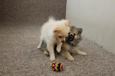 Feb21b_05_091.JPG