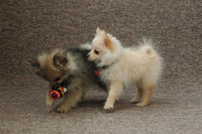 Feb21b_05_093.JPG