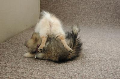 Feb21b_05_095.JPG