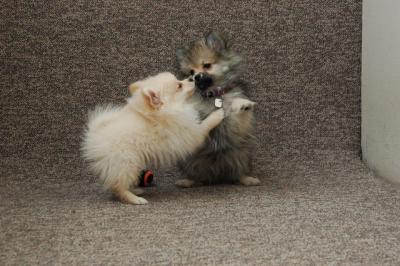 Feb21b_05_097.JPG