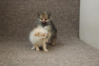 Feb21b_05_098.JPG