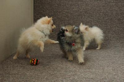 Feb21b_05_099.JPG