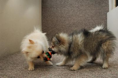 Feb21b_05_104.JPG