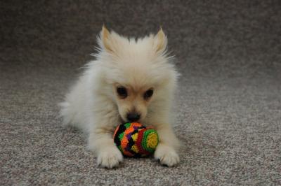 Feb21b_05_107.JPG