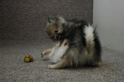 Feb21b_05_125.JPG