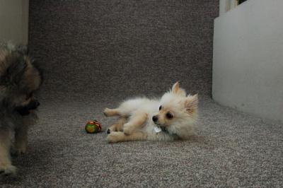 Feb21b_05_129.JPG