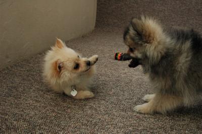 Feb21b_05_145.JPG