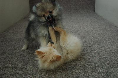 Feb21b_05_158.JPG