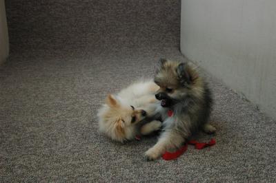 Feb21b_05_176.JPG