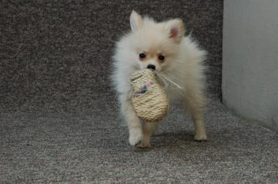 Feb21b_05_223.JPG