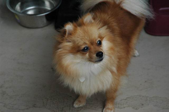 DSC_4296.JPG