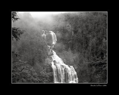 u40/blaf/medium/25882876.whitewaterfallsbwbordered8x10.jpg