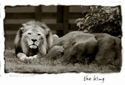 The King