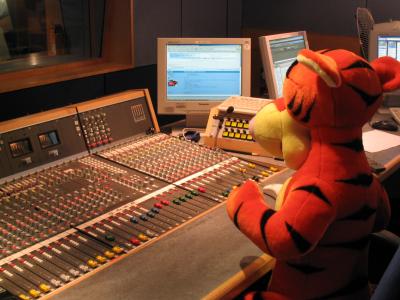 9 out of 10 Tiggers prefer analogue