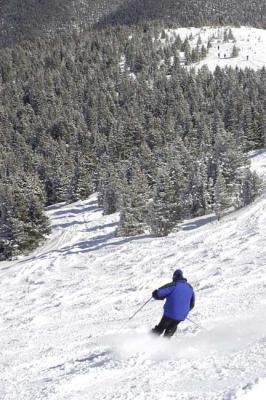 BLP_billskiingdown_w.jpg