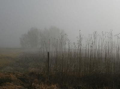 7449.jpg