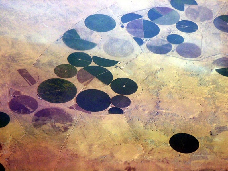 Irrigated farmland, Central Saudi Arabia